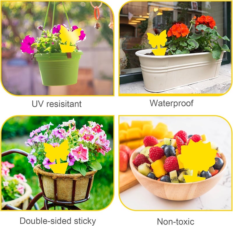 Boromine Fruit Fly Traps, 100 Pack Yellow Sticky Traps, Fungus Gnat Traps, Plant Fly Stickers for Indoor and Outdoor Use Protect The Plant - Image 5